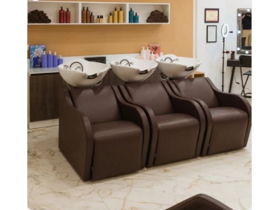 Λουτήρας Κομμωτηρίου Beauty Star - Artemisia 65 Special