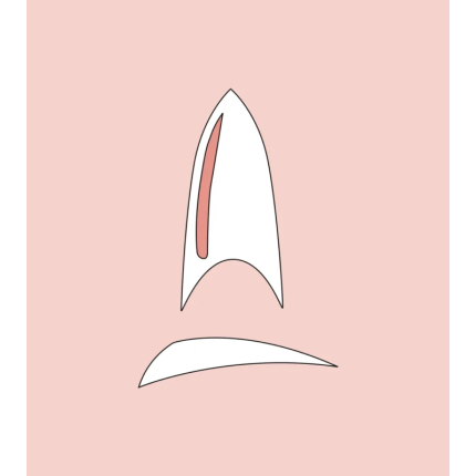 Peggy Sage Tips Stiletto x50