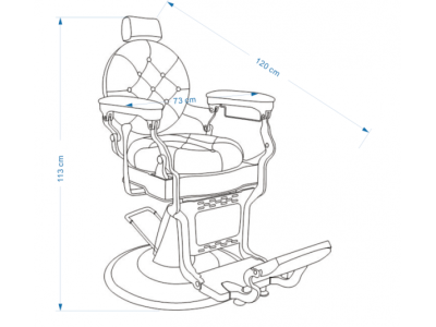Καρέκλα Barber Hairland Μαύρη με Χρυσό 1010