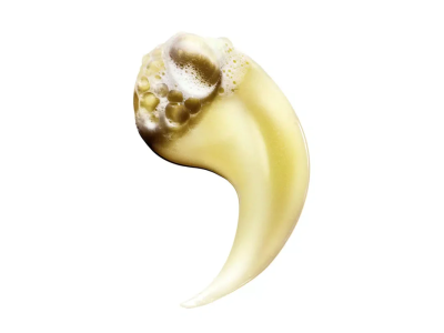 L’ Oreal Professionnel Absolut Repair Σαμπουάν Αναδόμησης 500ml product image