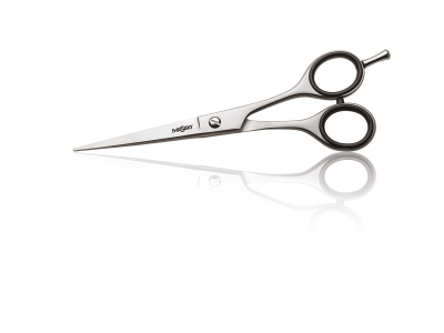 Επαγγελματικό Ψαλίδι Κουρέματος Iwasaki Steel 6.0''