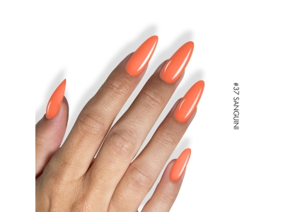 Gel.It.Up Ημιμόνιμο 37 Sanguini 11ml