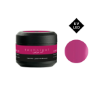 Peggy Sage Technigel Color It Passionnement UV&LED 5g